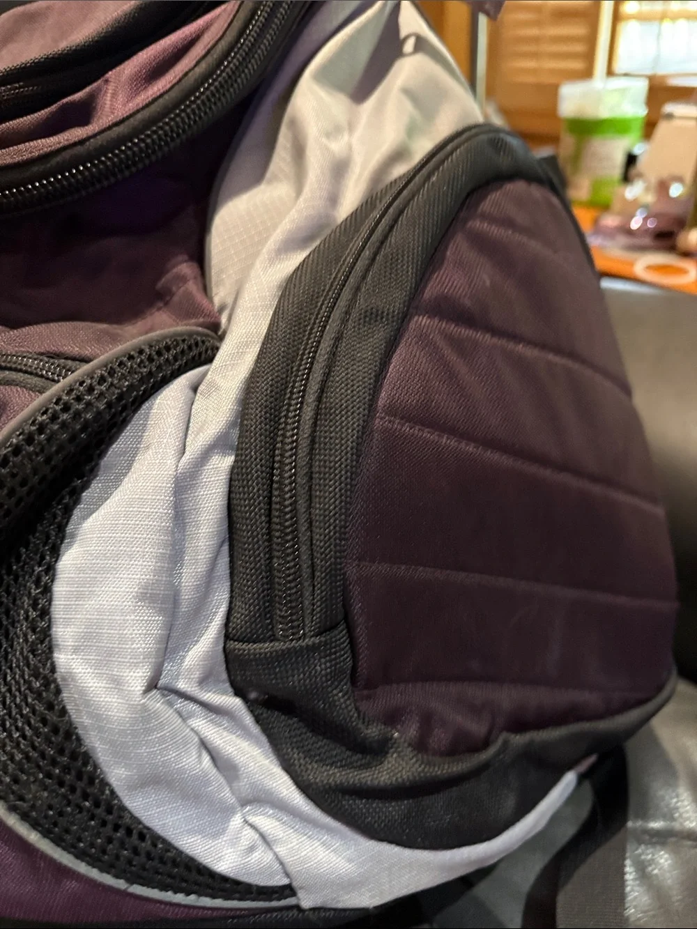 L.L. Bean roomy pack